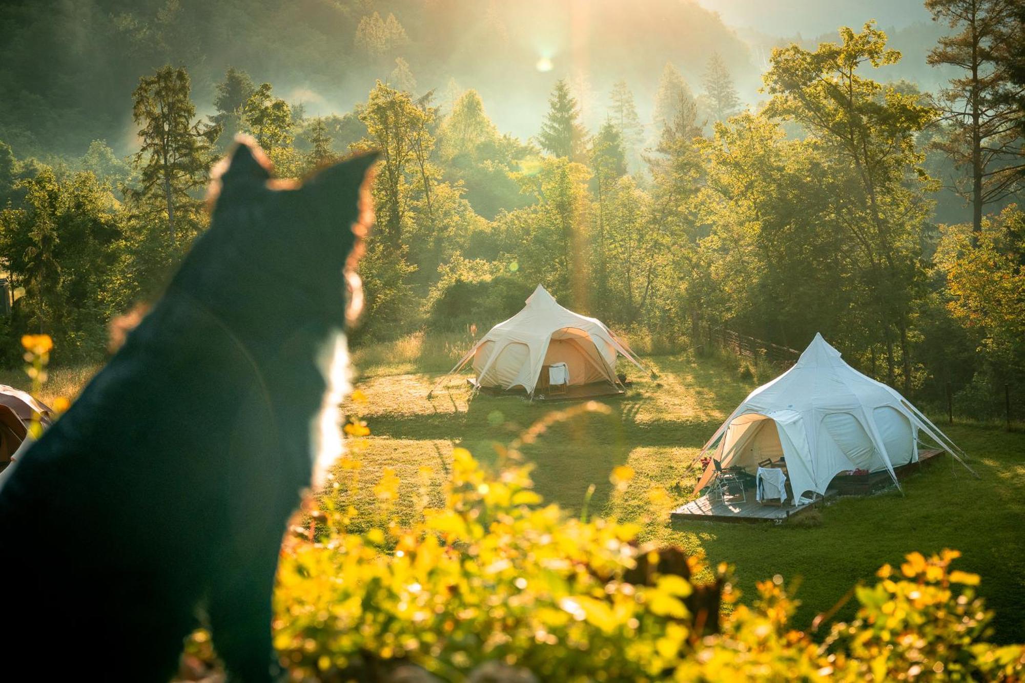 Glamping Gozdna Jasa Hotel โบเว็ก ภายนอก รูปภาพ